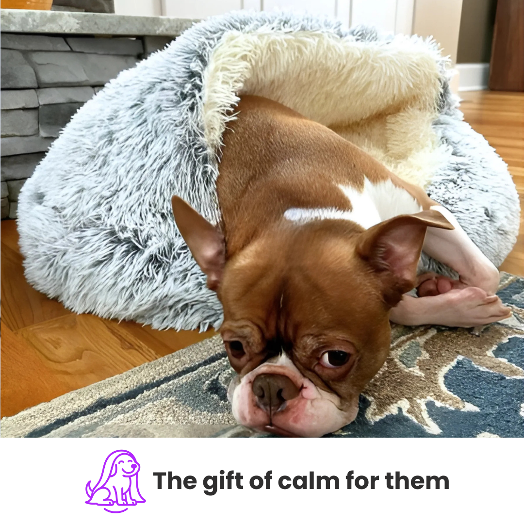 Zellumira Cuddle-Calm Bed™