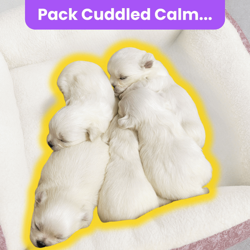 Zellumira Cuddle-Calm Bed™