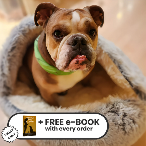 Zellumira Cuddle-Calm Bed™