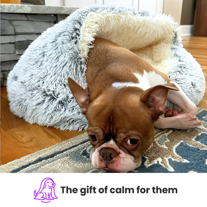 Zellumira Cuddle-Calm Bed™