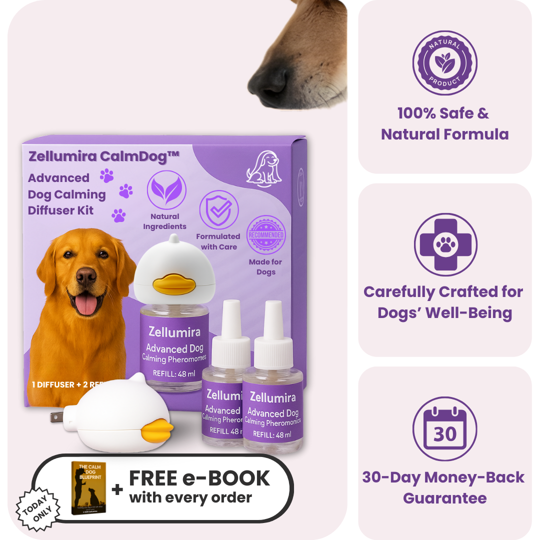 Zellumira CalmDog™ Diffuser Kit