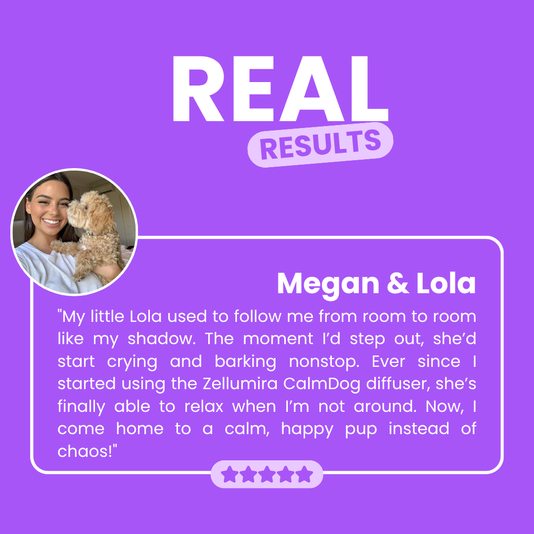 Zellumira CalmDog™ Diffuser Kit