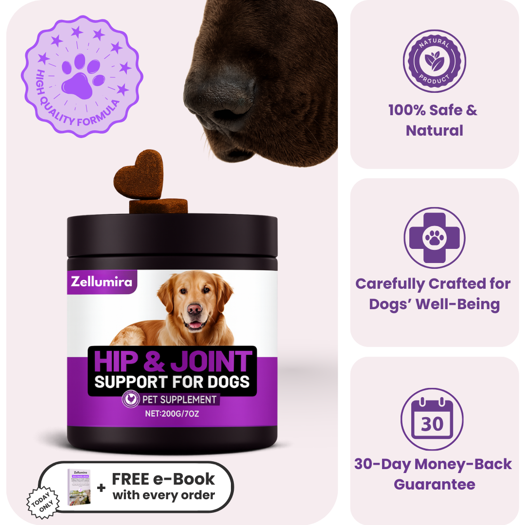 Zellumira Hip & Joint Support