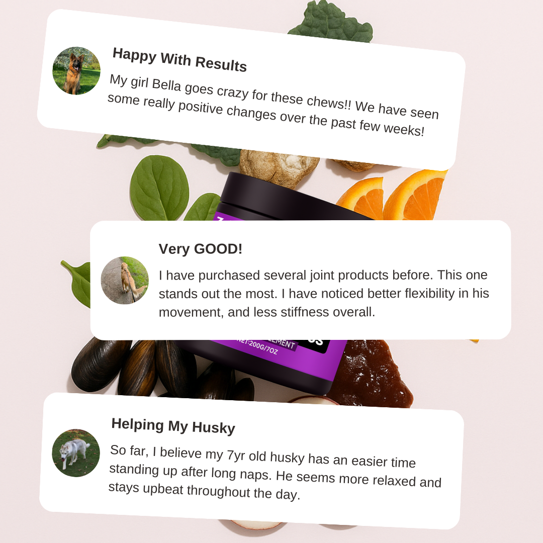 Zellumira Hip & Joint Support