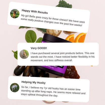 Zellumira Hip & Joint Support