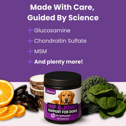 Zellumira Hip & Joint Support