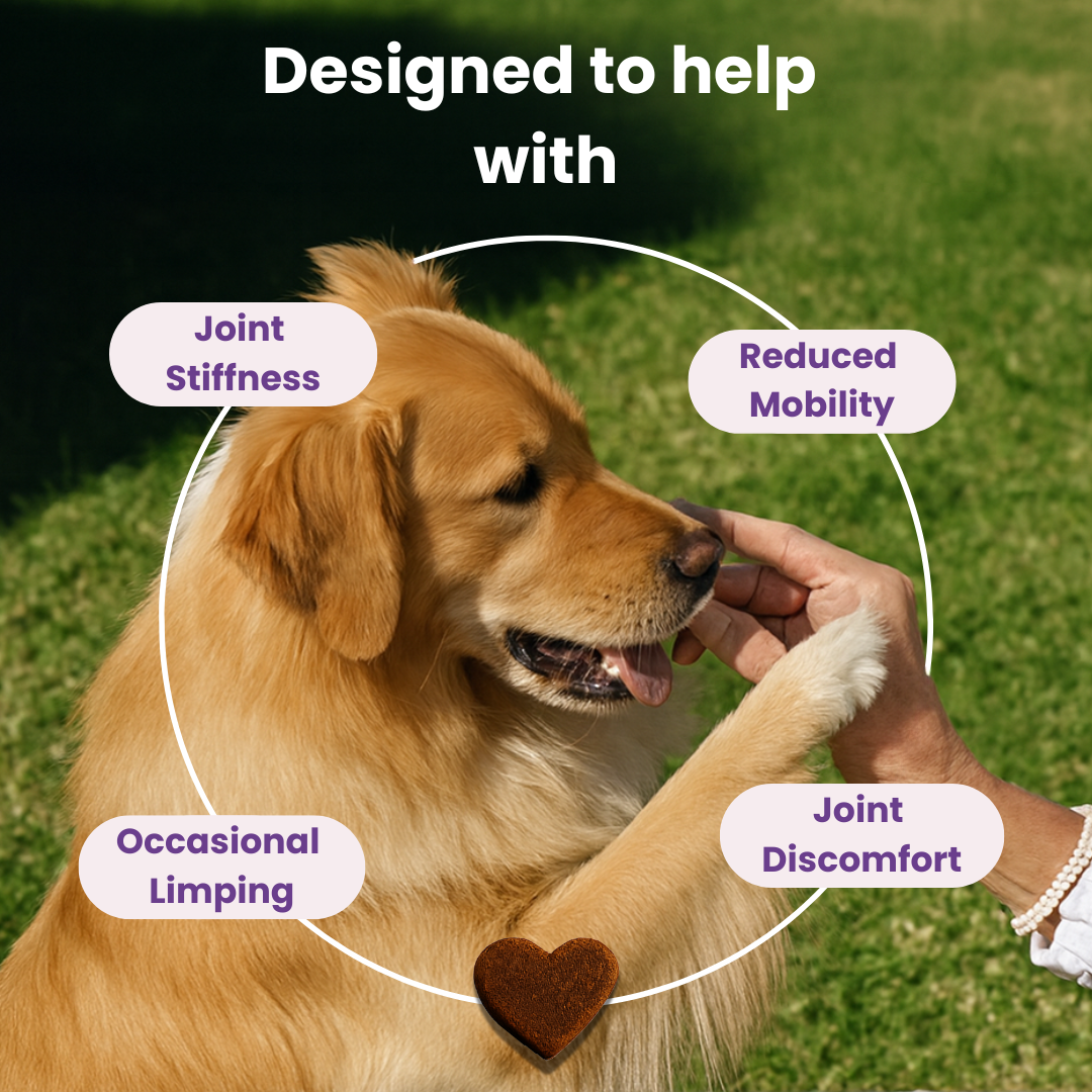 Zellumira Hip & Joint Support