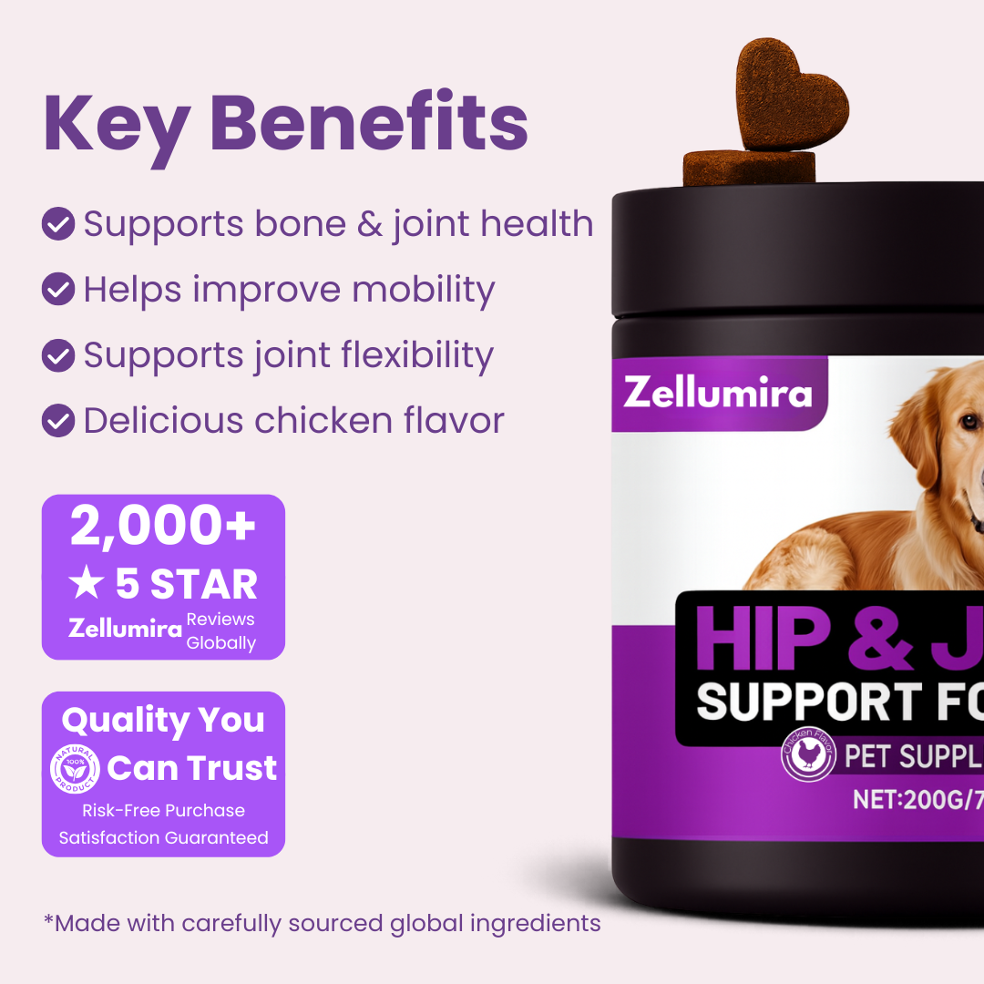 Zellumira Hip & Joint Support