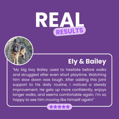 Zellumira Hip & Joint Support