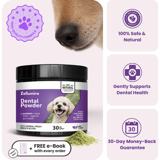 BrightCare™ Dog Dental Powder