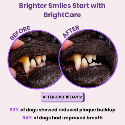 BrightCare™ Dog Dental Powder
