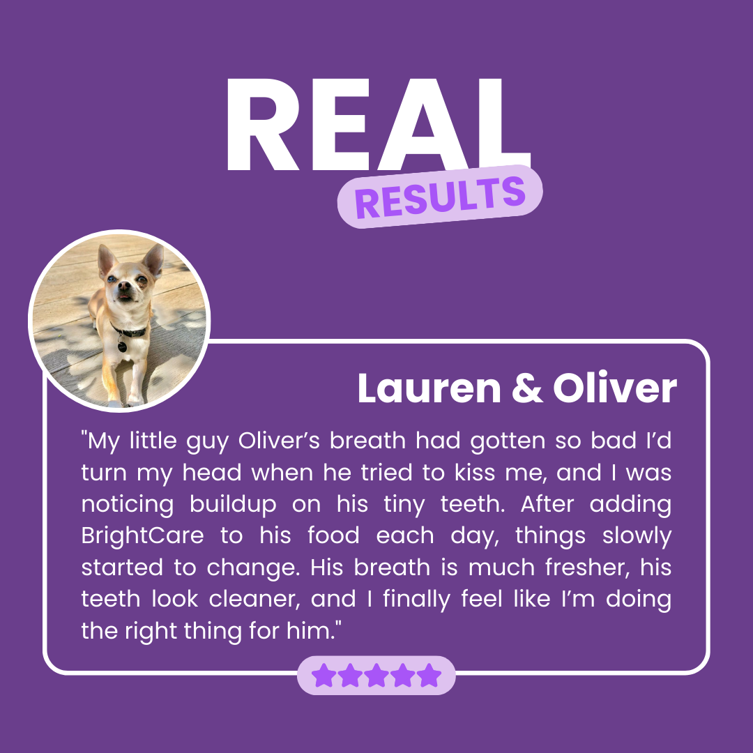 BrightCare™ Dog Dental Powder