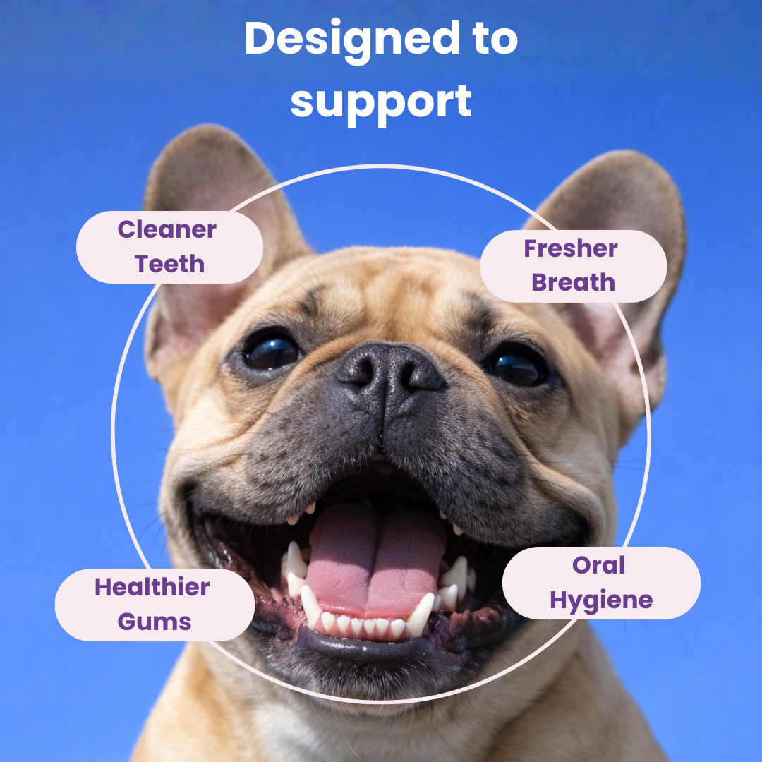 BrightCare™ Dog Dental Powder