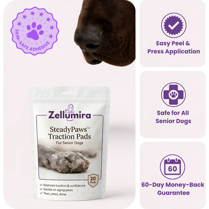 SteadyPaws™ Traction Pads