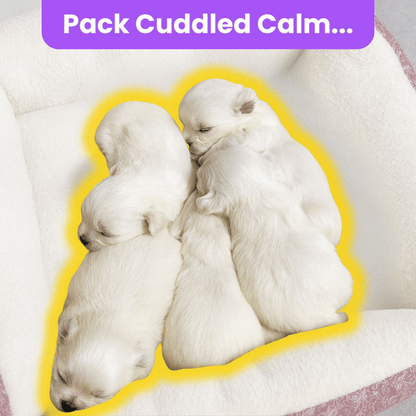 Zellumira Cuddle-Calm Bed™